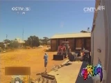 如何借助专业篮球教练提升个人声誉_0